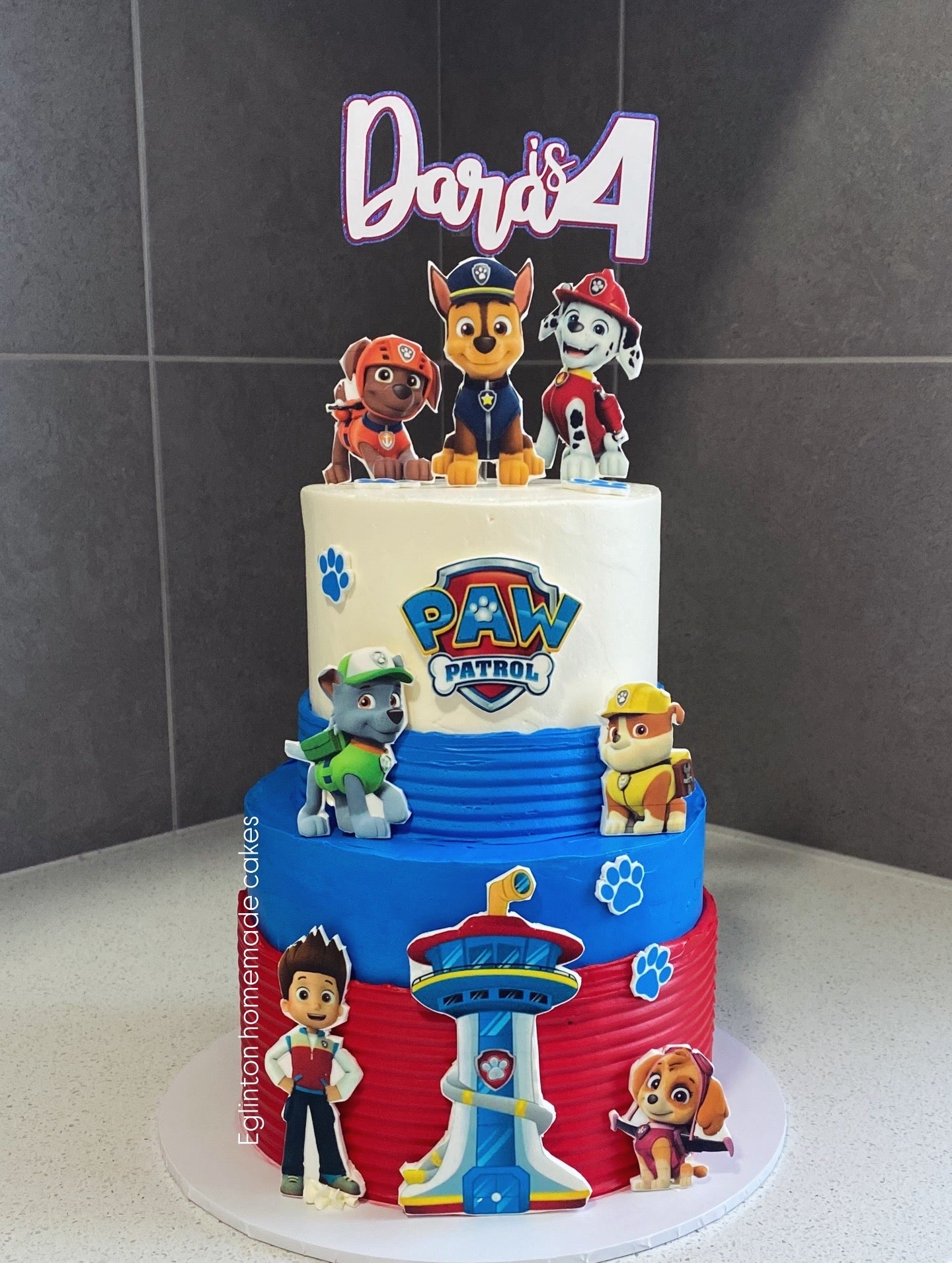 paw patrol character theme cake